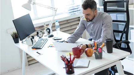 Freelancers & Consultants